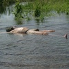 drowned body