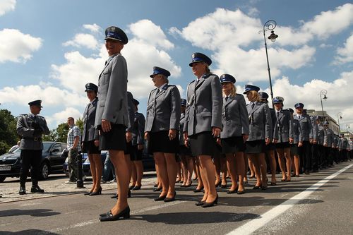 Une belle armée de gambettes