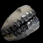 Regarde-les là-bas, c’est les Grillz Queens jouisseuses du dimanche, toujours en train de briller avec leurs dents ! 