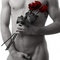LES MALES