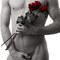 LES MALES