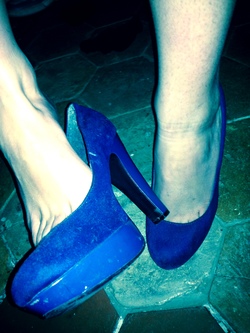 Aux pieds Chiens !