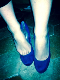 Aux pieds Chiens !