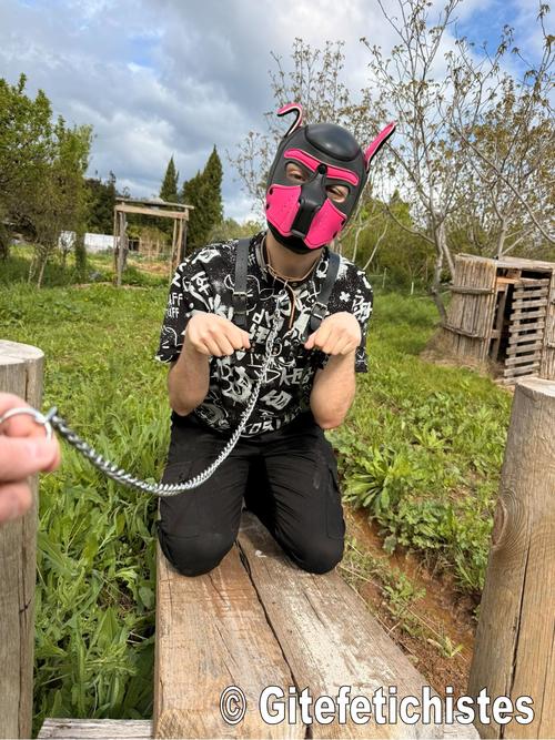 Pets-play ou puppy play au gîte fétichistes