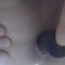 sodomis