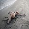 photos erotique sur la plage