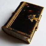 Jouibrulance – Fragments d’un livre impossible d’une lecture interdite" est un titre fort, étrange et poétique, qui attire immédiatement l’attention.