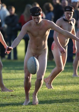 Rugby Coupe du Monde 2015 ...