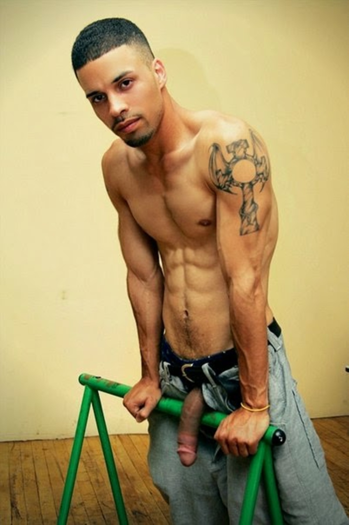Slideshow pitbull nudes.
