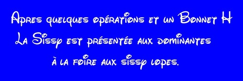 Sissy - Soubrette - travesti - Transgenre